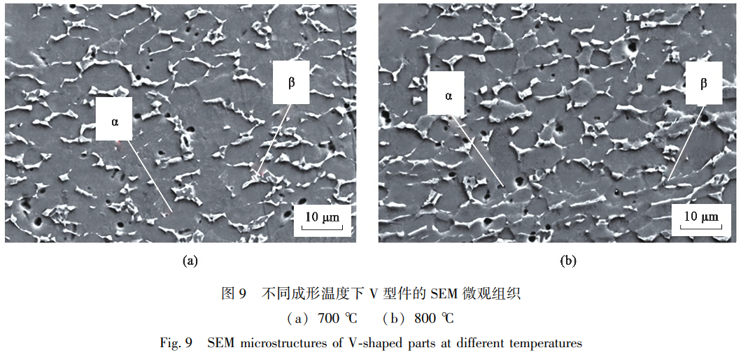 1738670876151045.png 截图20250204200059.png